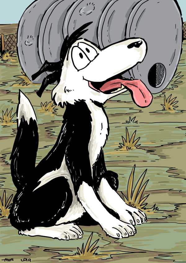 1976footrotflats_002